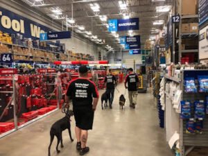 Bomb City K9 Training