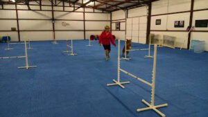Cowtown Dog Sports