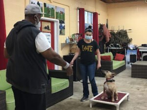 The BullPen Dog Training Center