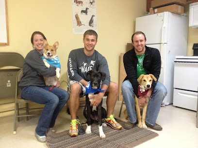 Puppy Love Dog Training