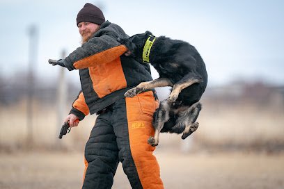 Canyon K9 Training