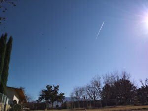 Reidsan Dog Training Center
