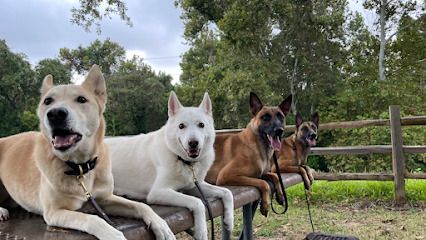 Rise & Shine K9