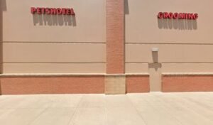 PetSmart Dog Training
