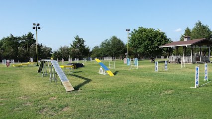 Dallas Dog Sports