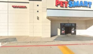 PetSmart Dog Training