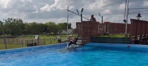 Dallas Air Dogs