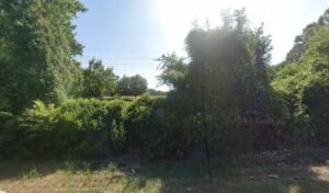 Destination Dog Ranch