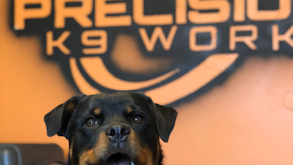 Precision K9 Work – Austin Dog Training