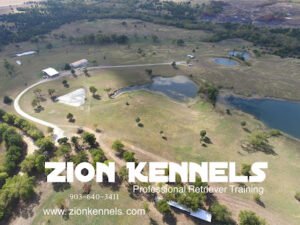 Zion Kennels – Professional Retriever Training for Waterfowl and AKC Field Trials and Hunt Tests