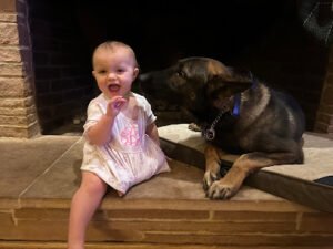 International K-9