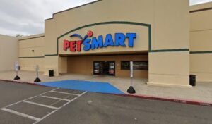 PetSmart Dog Training