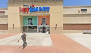 PetSmart Dog Training