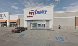 PetSmart Dog Training
