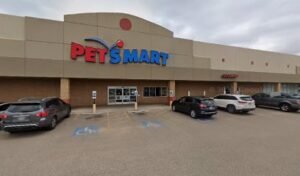 PetSmart Dog Training