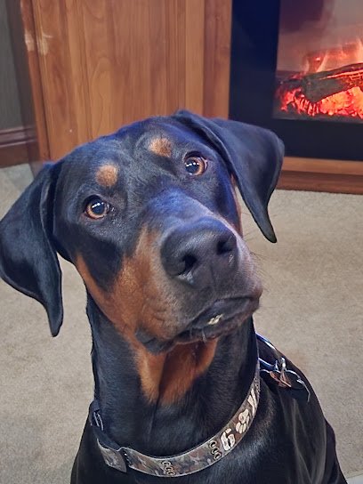 Turtle Creek Training and Boarding