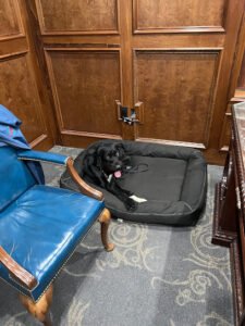 EasTex K9 Dog Training LLC