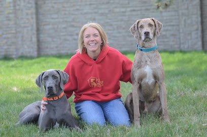 Full House Dog Training