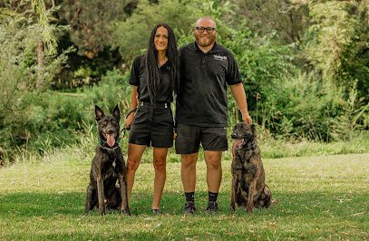 Valley K9 Training Co