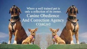 Canine Obedience And Correction Agency, COACA LLC