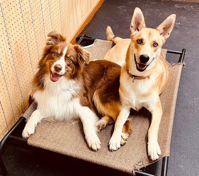 Mountainside Mutts