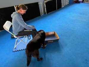 Riverbend Dog Training LLC