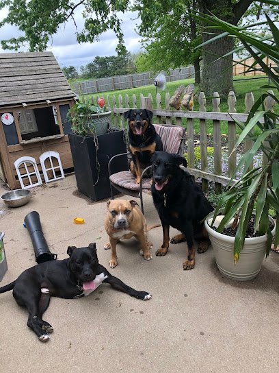 Incredible Canines LLC