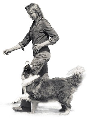 Noel Hoffmann Dog Training