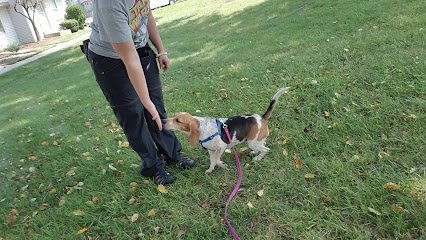 FurEver Family, LLC