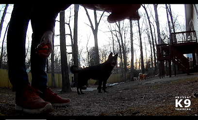 Prudent K9 Training
