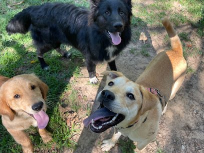 Adventure Bound Canines