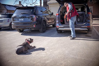 Misfits dog training