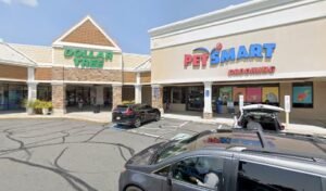 PetSmart Dog Training