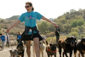 Furever K9, LLC