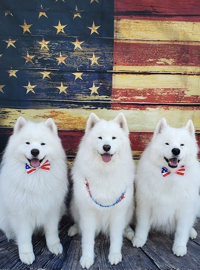 Head of the Class Dog Training, LLC