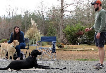 My Shadow Dog Training