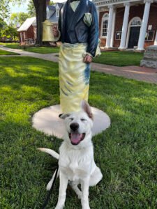 Loyalty Canine Services