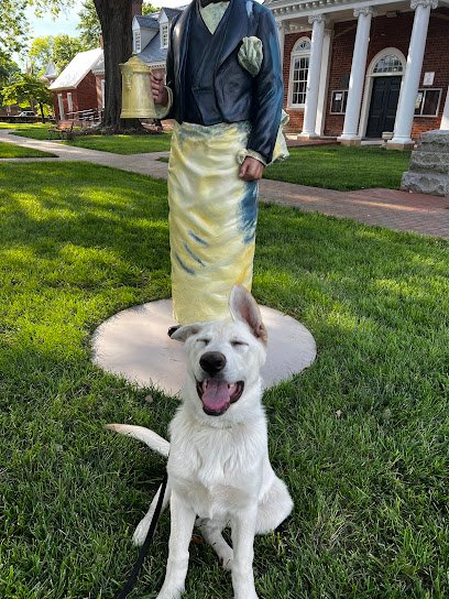 Loyalty Canine Services