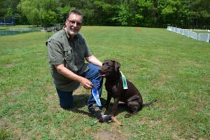 Dog Gone Good Dog Training