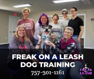 Freak On A Leash Dog Training