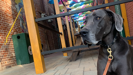 Western K9