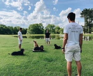 On Holladay Dog Training & Boarding
