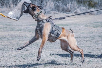 Windy Ridge K9