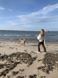 Doggy Decorum, LLC