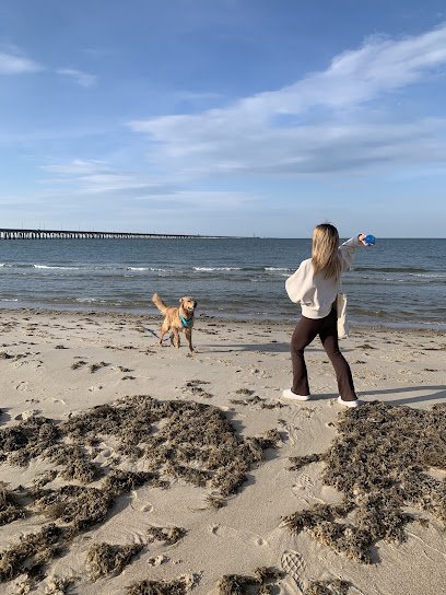 Doggy Decorum, LLC