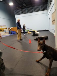 Canine Obedience Training at Hunt Club