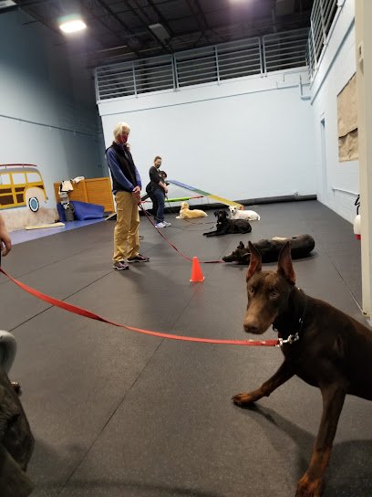 Canine Obedience Training at Hunt Club