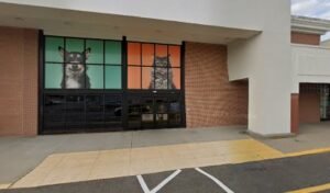 PetSmart Dog Training