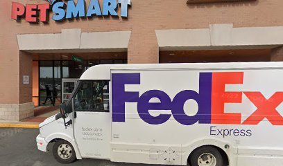 PetSmart Dog Training