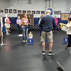 Richmond Dog Obedience Club